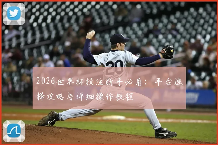 2026世界杯投注新手必看：平台选择攻略与详细操作教程