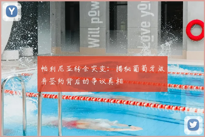 帕利尼亚转会突变:揭秘葡萄牙放弃签约背后的争议真相