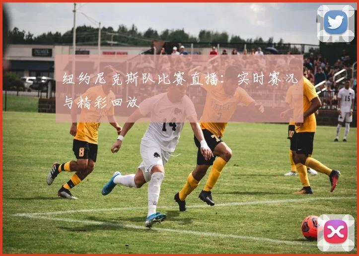 纽约尼克斯队比赛直播:实时赛况与精彩回放