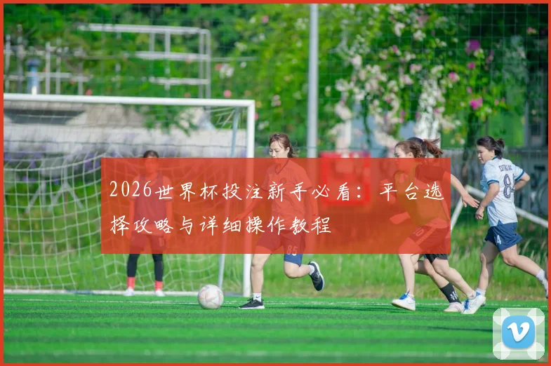 2026世界杯投注新手必看：平台选择攻略与详细操作教程